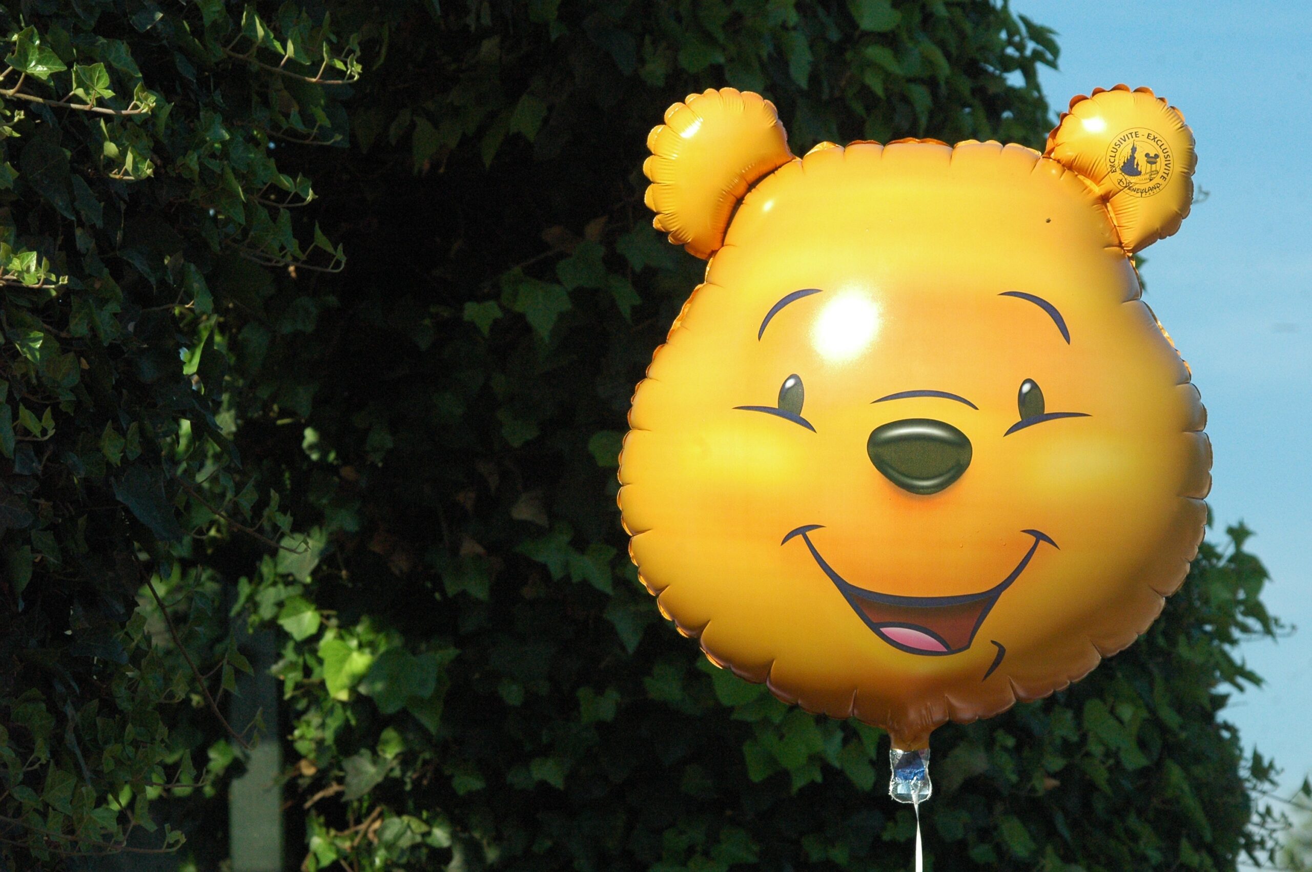 A Winnie the Pooh balloon in front of some leaves