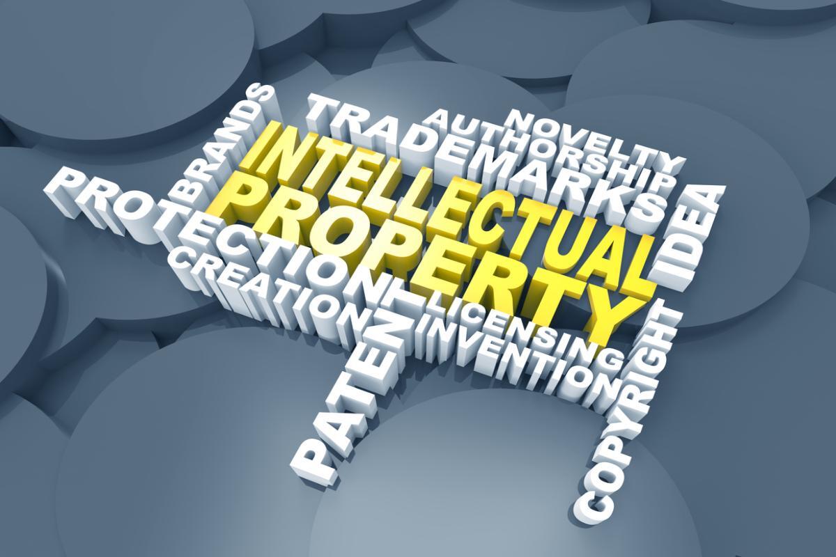 Essential Provisions in IP Licensing Agreements in Florida